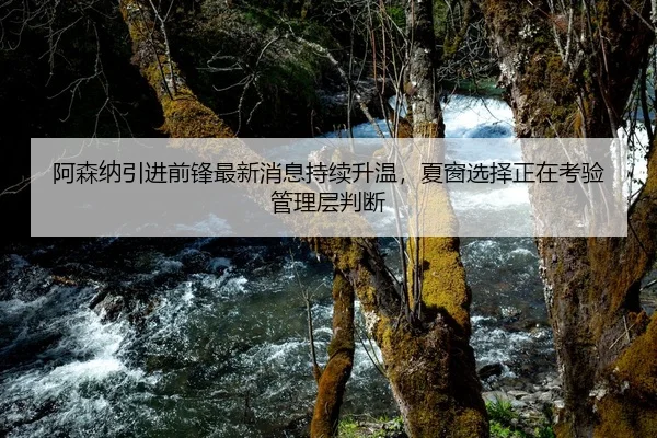 阿森纳引进前锋最新消息持续升温，夏窗选择正在考验管理层判断